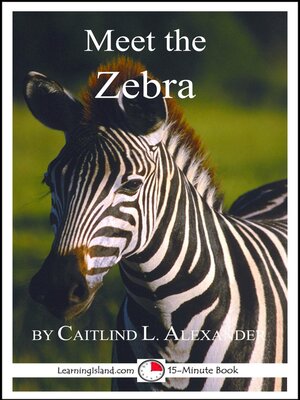 cover image of Meet the Zebra